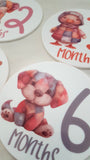 Baby month milestone plaques, set of 12 milestone cards.