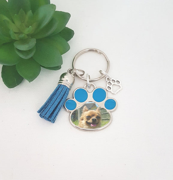Blue paw cat or dog tassel keyring
