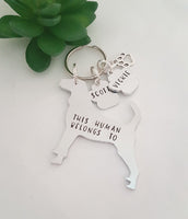 Beagle Keyring 'This human belongs to',