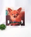 Memorial Collar Holder, Pet Memorial Gift Photo Keepsake