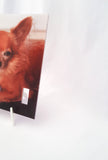 Memorial Collar Holder, Pet Memorial Gift Photo Keepsake