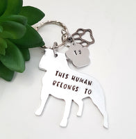 Staffordshire Bull Terrier keyring, This human belongs to