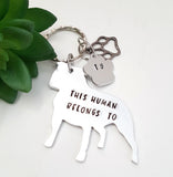 Staffordshire Bull Terrier keyring, This human belongs to