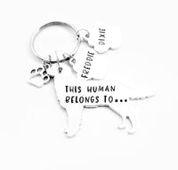 Golden Retriever Keyring 'This human belongs to'