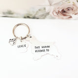 Springer Spaniel Keychain, This Human belongs to