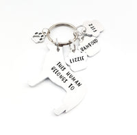 Border Collie Keyring 'This human belongs to'