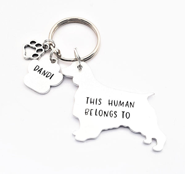 Springer Spaniel Keychain, This Human belongs to